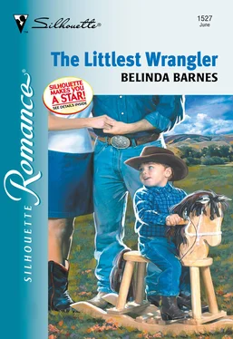 Belinda Barnes The Littlest Wrangler обложка книги