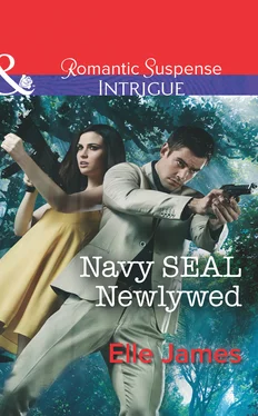 Elle James Navy SEAL Newlywed обложка книги