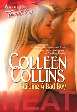 Colleen Collins Building a Bad Boy обложка книги