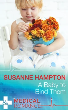 Susanne Hampton A Baby to Bind Them обложка книги