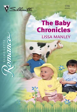 Lissa Manley The Baby Chronicles обложка книги