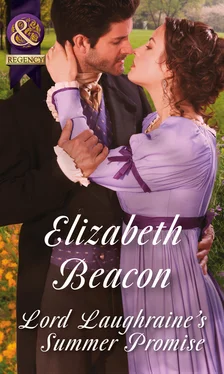 Elizabeth Beacon Lord Laughraine's Summer Promise обложка книги