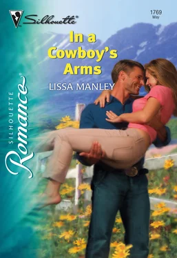 Lissa Manley In a Cowboy's Arms обложка книги