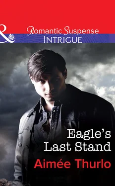 Aimee Thurlo Eagle's Last Stand обложка книги