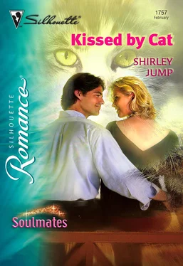 Shirley Jump Kissed by Cat обложка книги