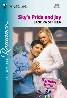 Sandra Steffen Sky's Pride And Joy обложка книги