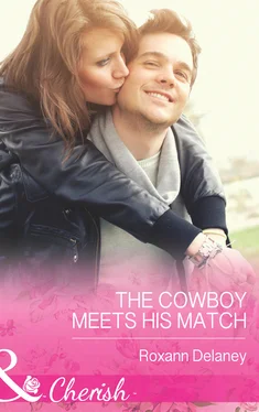 Roxann Delaney The Cowboy Meets His Match обложка книги