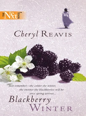 Cheryl Reavis Blackberry Winter обложка книги