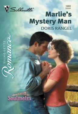 Doris Rangel Marlie's Mystery Man обложка книги