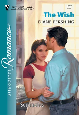 Diane Pershing The Wish обложка книги