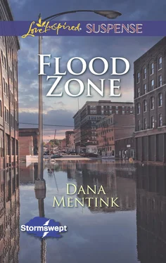 Dana Mentink Flood Zone обложка книги
