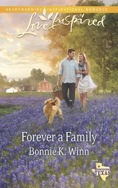Bonnie K. Winn Forever A Family обложка книги