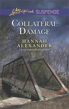 Hannah Alexander Collateral Damage обложка книги