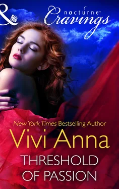 Vivi Anna Threshold of Passion обложка книги