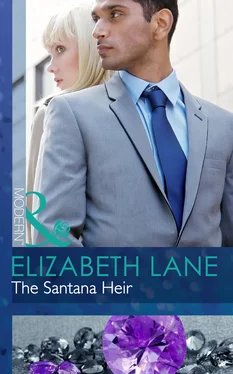 Elizabeth Lane The Santana Heir обложка книги