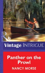 Nancy Morse - Panther On The Prowl