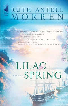 Ruth Axtell Morren Lilac Spring обложка книги