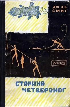 Джеймс Смит Старина четвероног обложка книги