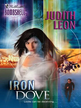 Judith Leon Iron Dove обложка книги