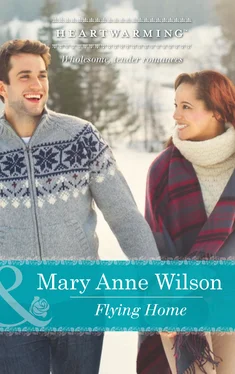 Mary Anne Wilson Flying Home обложка книги