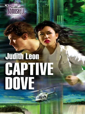 Judith Leon Captive Dove обложка книги