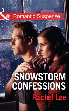 Rachel Lee Snowstorm Confessions обложка книги