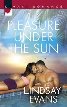 Lindsay Evans Pleasure Under the Sun обложка книги