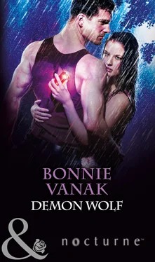 Bonnie Vanak Demon Wolf обложка книги