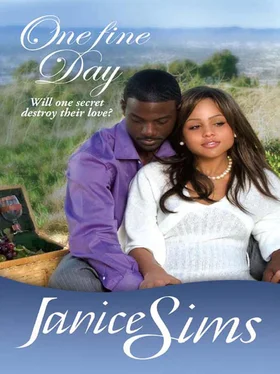 Janice Sims One Fine Day обложка книги