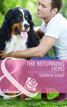 Soraya Lane The Returning Hero обложка книги