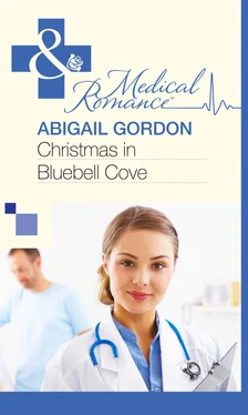 Abigail Gordon Christmas In Bluebell Cove обложка книги