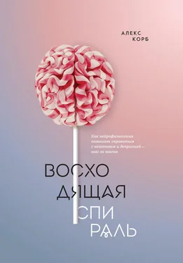 Алекс Корб Восходящая спираль обложка книги