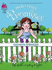 Kathryn Springer - Picket Fence Promises