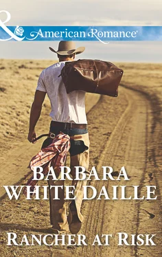 Barbara White Daille Rancher At Risk обложка книги