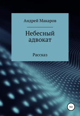 Андрей Макаров Небесный адвокат обложка книги