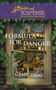 Camy Tang Formula for Danger обложка книги