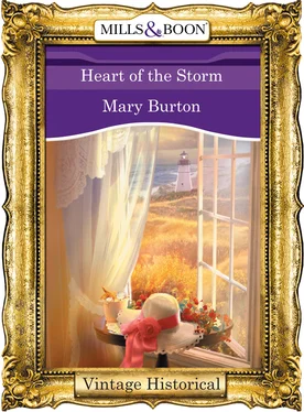 Mary Burton Heart Of The Storm обложка книги