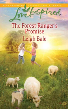 Leigh Bale The Forest Ranger's Promise обложка книги