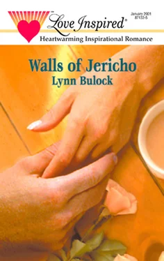 Lynn Bulock Walls of Jericho обложка книги