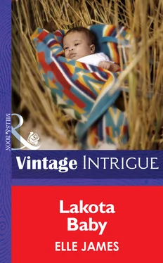 Elle James Lakota Baby обложка книги