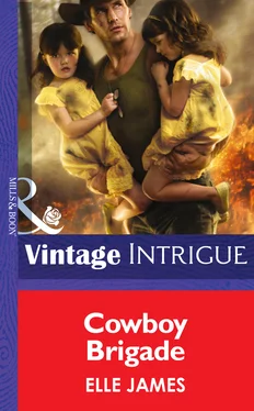 Elle James Cowboy Brigade обложка книги