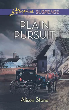 Alison Stone Plain Pursuit обложка книги