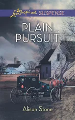Alison Stone - Plain Pursuit