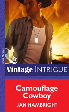Jan Hambright Camouflage Cowboy обложка книги