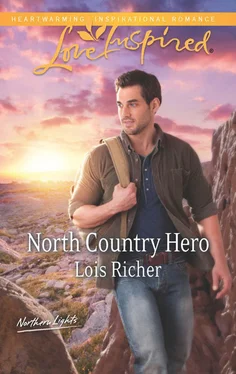 Lois Richer North Country Hero обложка книги