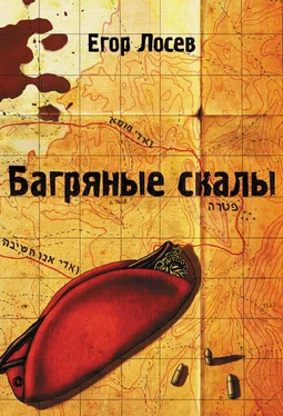 Егор Лосев Багряные скалы обложка книги