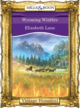 Elizabeth Lane Wyoming Wildfire обложка книги