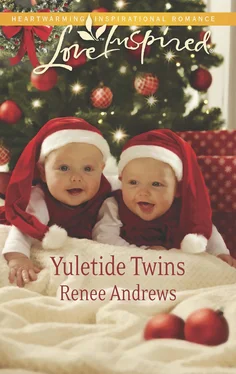 Renee Andrews Yuletide Twins обложка книги