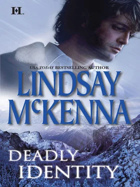 Lindsay McKenna Deadly Identity обложка книги