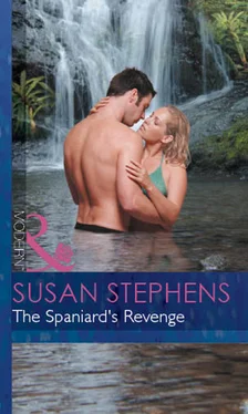 Susan Stephens The Spaniard's Revenge обложка книги